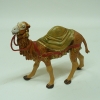 Kamel stehend mit grüner Decke