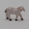 Schaf klein , Lamm