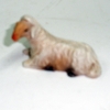 Lamm liegend