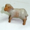 Lamm stehend