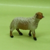 Schaf mit Rechtsblick
