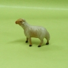 Schaf stehend Linksblick