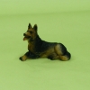 Hund liegend