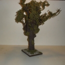 wunderschöner Wurzelbaum mit lichtechtem Moos. 45 cm hoch